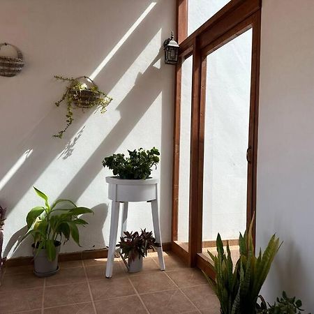 Private Villa With Pool In The Mountains Pájara 외부 사진